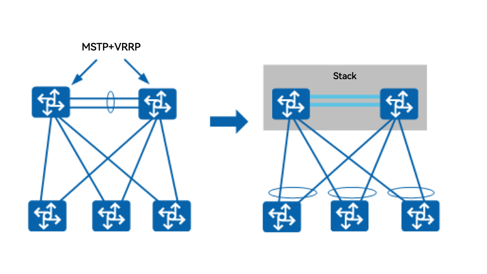 红足1—世足球网