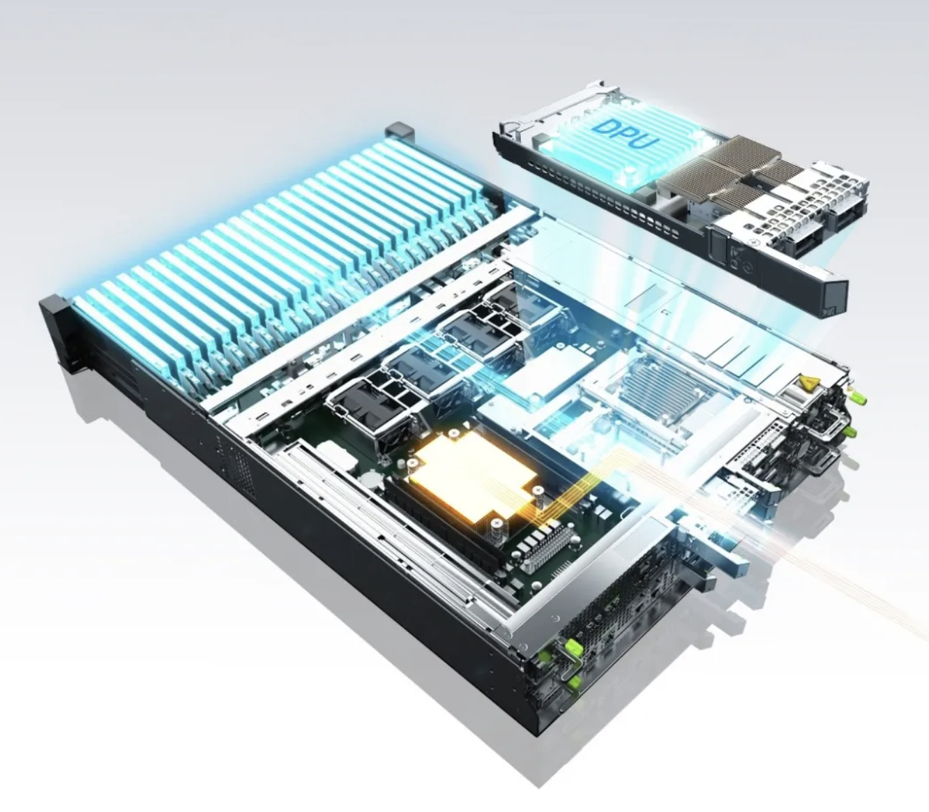 红足1—世足球网