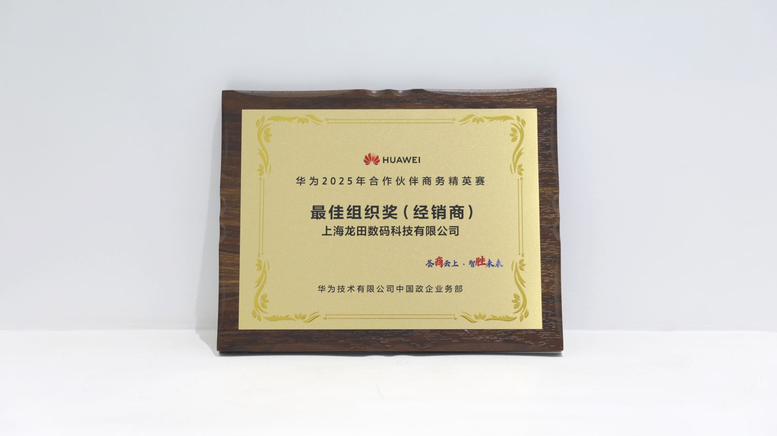 红足1—世足球网