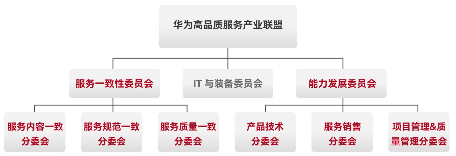 红足1—世足球网