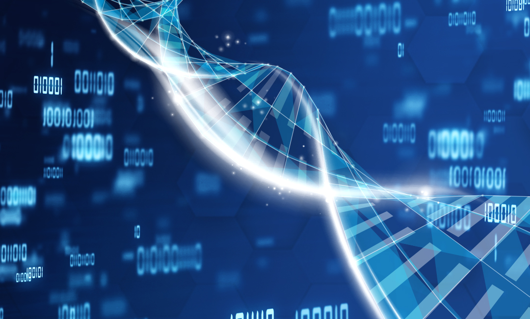 红足1—世足球网