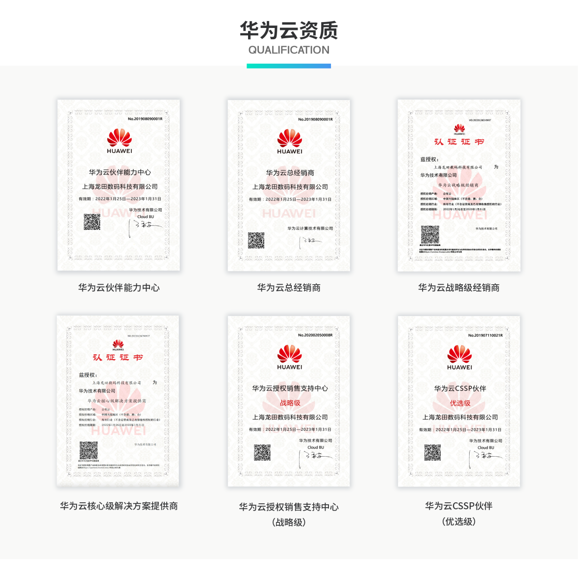 红足1—世足球网